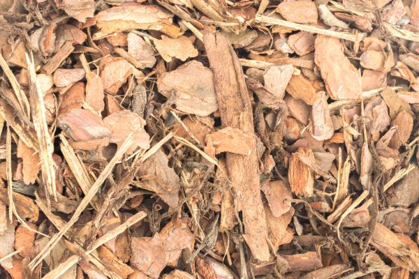 Bark Mulch Installation in Vancouver
