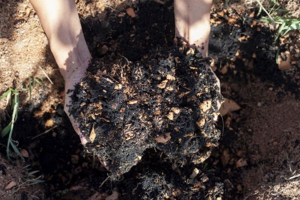 Organic Mulch Installation in Vancouver