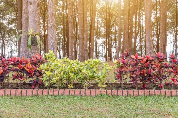 Small Garden Landscaping in Vancouver