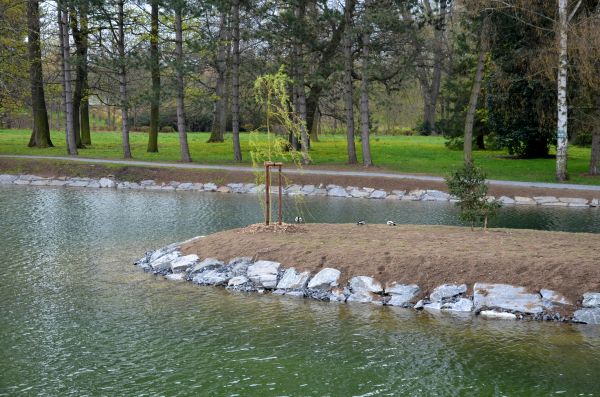 Pond Landscaping Service in Vancouver