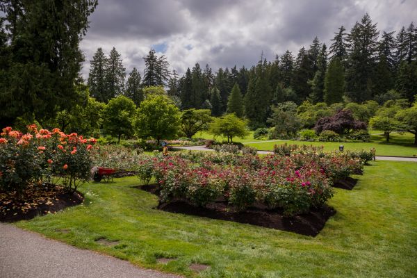Flower Garden Landscaping in Vancouver