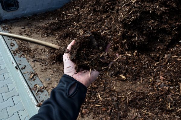 Condo Mulching in Vancouver