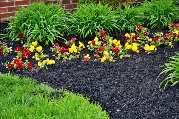 Apartment Mulching in Vancouver