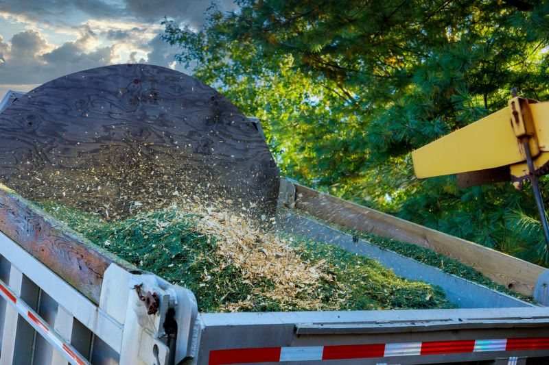 Wood Chips Delivery detail